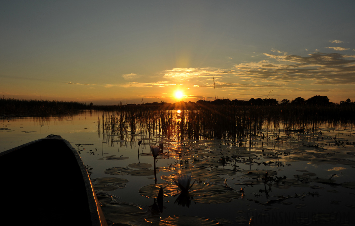 Okavango Delta [28 mm, 1/160 Sek. bei f / 22, ISO 400]